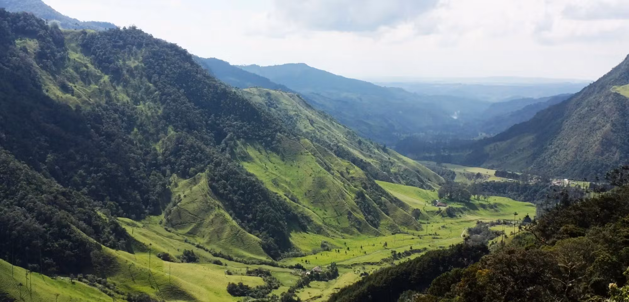Des montagnes verdoyantes.